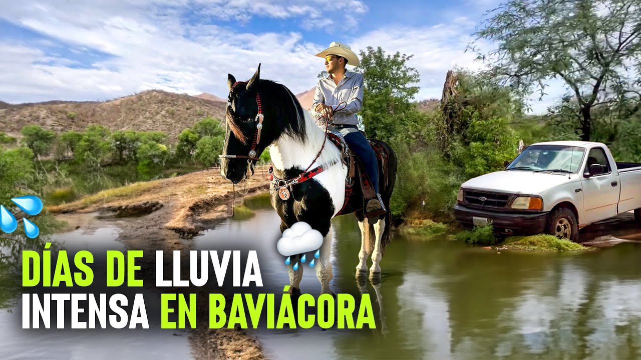 Días de LLUVIA INTENSA llegan al pueblo de Baviácora, Sonora | ¿Cómo nos afecta este clima?