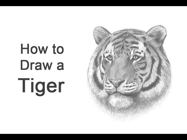 Premium Vector  Tiger head hand draw sketch monochrome on white background