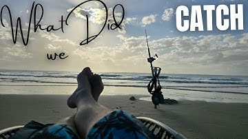 Last Land Based Sharks Of This Trip