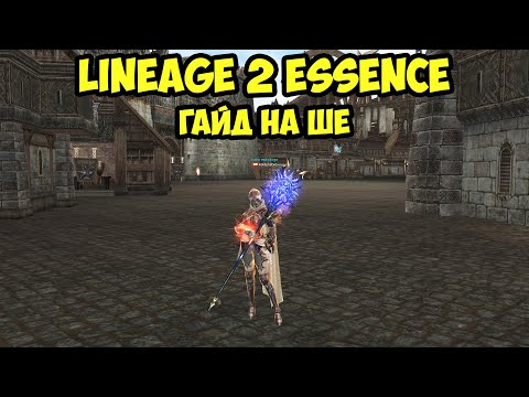 Гайд на ШЕ 2023. Стань лучшим Жрецом Шилен в Lineage 2 Essence.