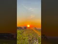 #sunset