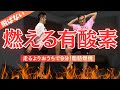 【9分室内散歩】1日1kgk確実に減る！1時間歩くより痩せる『ズボラ式お家で有酸素運動』