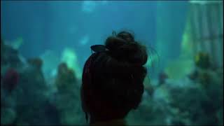 The Creative Process - A Short Film by Maria Polonsky