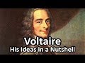 Voltaire - His Ideas in a Nutshell