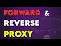 Understanding Proxies: A Clear Guide to Forward and Reverse Proxy