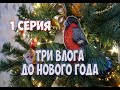 ТРИ ВЛОГА ДО НОВОГО ГОДА. 1 СЕРИЯ