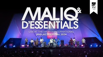 MALIQ & D