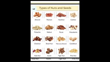 Types of nuts and seeds #mk