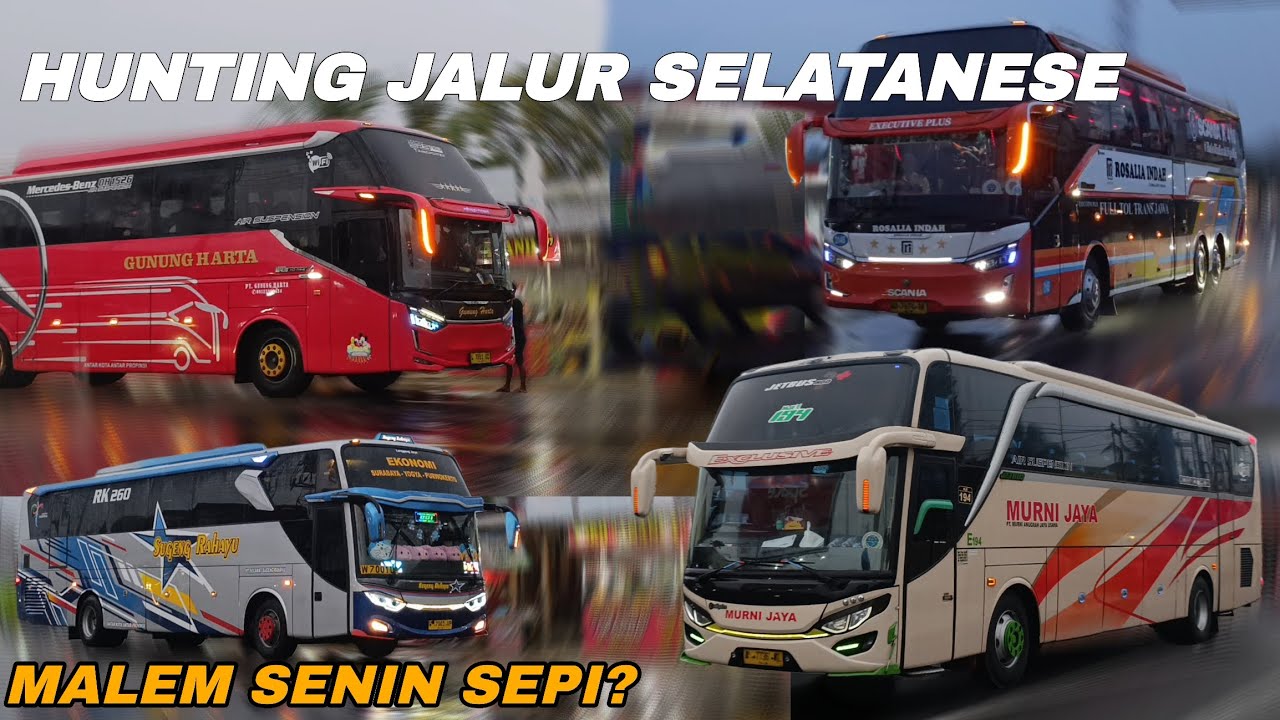 MALAM SENIN MALAH SEPI⁉️Warna Warni Bus Jalur Selatan / Hunting Bus Buntu