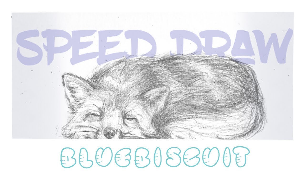 Fox speed draw - YouTube