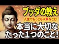 【ブッダの教え】本当に大切なことはたった1つの事!「人生教訓」