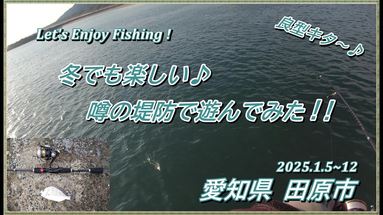 噂の爆釣堤防に挑む！ ライトタックルの釣りが最高に面白かった～ (^^♪ 【  ライトゲーム サビキ釣り ジグサビキ 赤羽根漁港 】