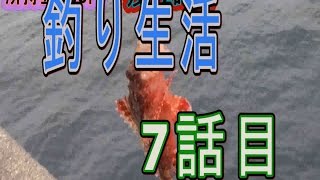 【所持金0円で即終了】釣り生活7【沖縄】