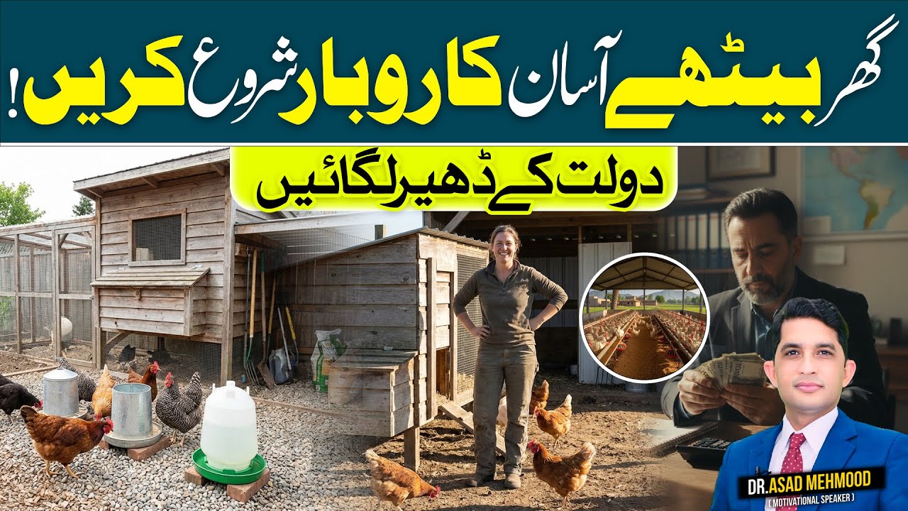 Start Chicken Farming at Home | Easy & Profitable Business | Finance With Asad
