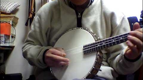 Mandolin Banjo with Nylon strings 2
