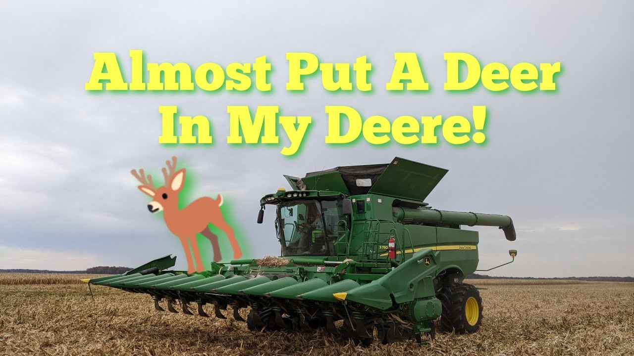 Almost Put A Deer In My Deere | Harvest 2022 Day Twenty-Nine