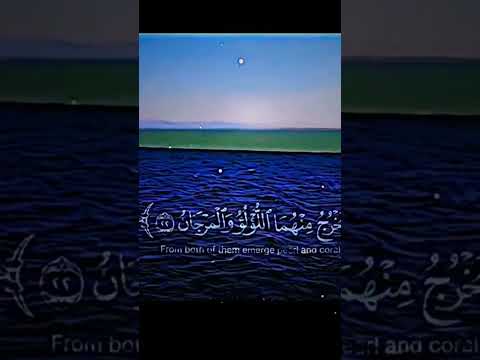 مرج البحر يلتقيان#الشيخ ياسر الدوسري #قرأن كريم