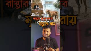 রাস্তায় কুকুরদের মৃত্যুর রায় #information #news #bengalinews