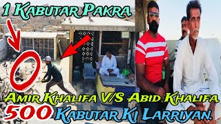 Amir Khalifa V/S Abid Khalifa | 500 Kabutar Ki Larriyan | 1 Kabutar Pakra | Kabutar Bazi In Karachi