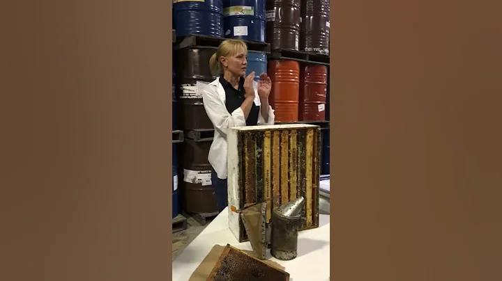 Danielle Downey: How bees over-winter