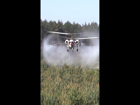 Old Russian Kamov helicopter spraying forest #shorts