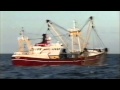 HD24 "Marrie Jacob"