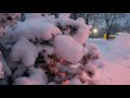 Падает, падает снег... Красивый снегопад. Таллинн Эстония (12/2021)/ Beautiful show. Tallinn Estonia