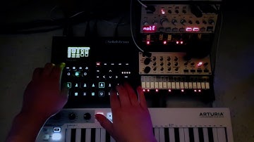 Gecko - New Era (Elektron Digitakt, Korg volca Bass & Keys, Deepmind 12)