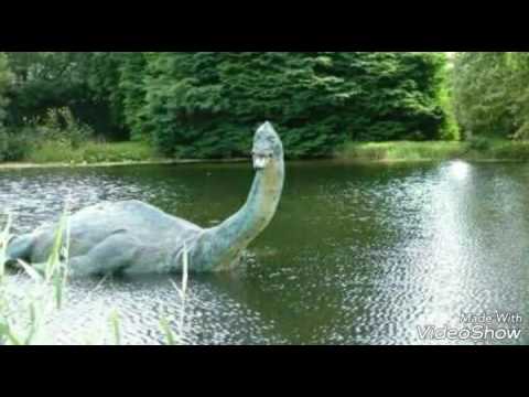 Are They Real- Nessie In Hindi