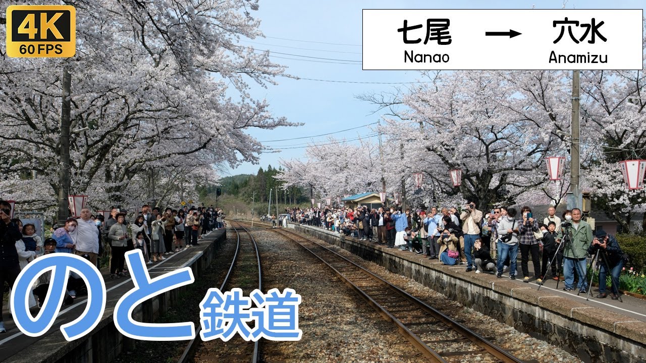 鉄道模型風景 鉄道と桜の風景、愛媛県、引き取り限定 鉄道模型風景