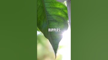 Cosmic Microwave Secret: Before the Big Bang?