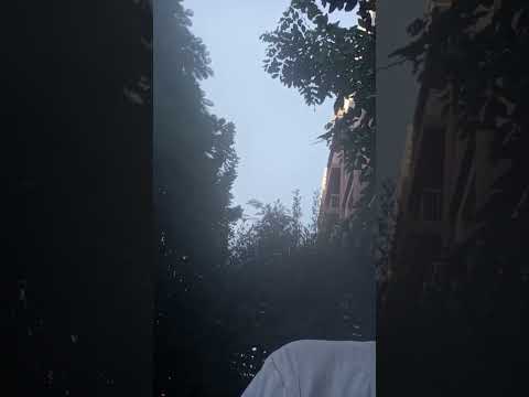 مشاري راشد