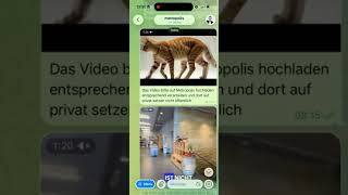 YouTube Videoproduktion für Dummies