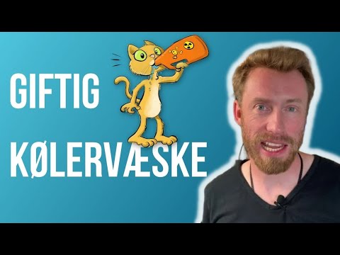 Video: Forgiftning Hos Katte