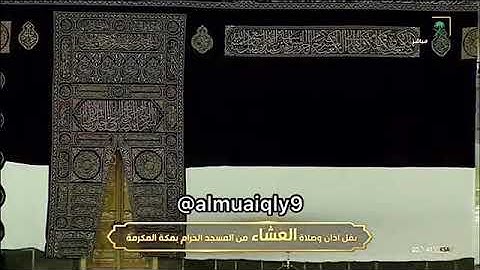 تحبير غير مسبوق من الشيخ د. ماهر المعيقلي لفواتح سورة الحجرات | عشاء الجمعة ٣-١٢-١٤٤١هـ