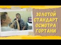 Фониатр Екатерина Осипенко: Видеоларингостробоскопия - стандартный осмотр гортани у взрослых и детей