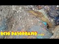 ВОТ ЭТО НАХОДКА В ЛЕСУ. ЕЕ ВСЮ РАЗОРВАЛО .