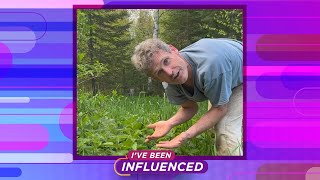 I've Been Influenced: Foraging Experts Talks Growth on TikTok