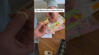 Our Queens Have Arrived, Bout To Get Crazy