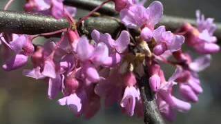 Swetha Menon Hot Delivery Orginal