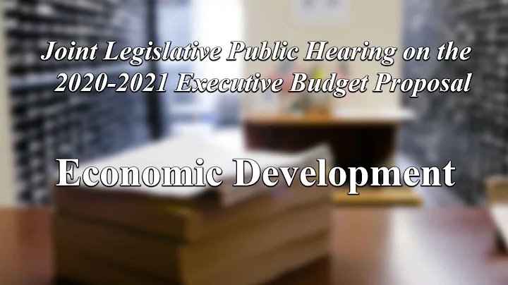 Joint Legislative Public Hearing on 2020-2021 Executive Budget Proposal: Topic Economic Development - DayDayNews