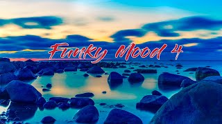 Best New Funky Music - Vol. 4