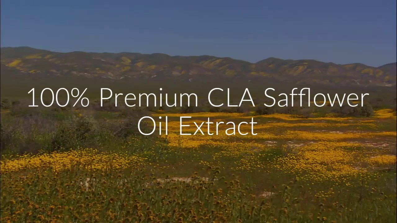 CLA Safflower Oil Sideeffects and Benefits YouTube