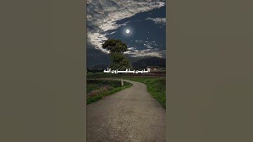 #قرآن #تدبر #نور #هداية #رحمة #شفاء #ذكر #إيمان #خشوع #تلاوة #تدبر_القرآن 📖✨