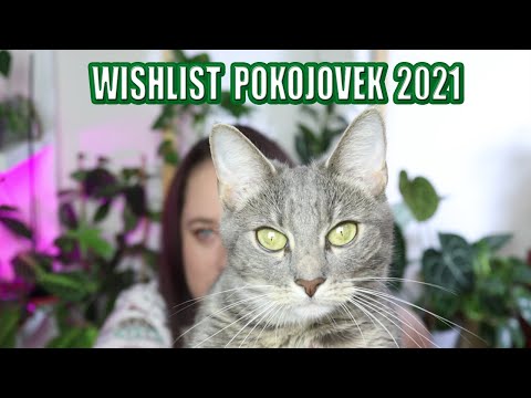 Video: Pokojové Rostliny, Které Přitahují Peníze