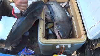 Mid-Summer on the Wateree River! (Part 2) River Fishing at it's best!