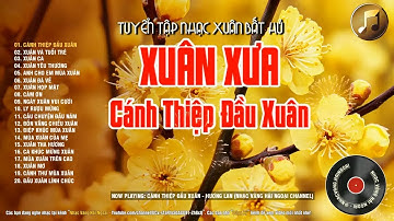 Lk Cánh Thiệp Đầu Xuân - Nhạc Xuân Xưa Thập Niên 90