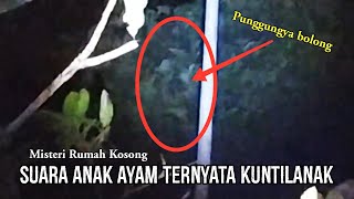 Suara Anak Ayam ternyata kuntilanak