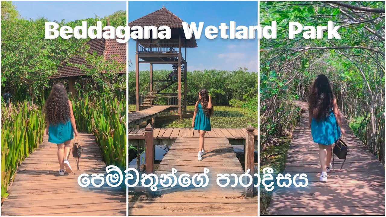 Beddagana wetland park | පෙම්වතුන්ගේ පාරාදීසය | හොර couples ඉන්නවනම් සමාවෙන්න 😂🤪🙏 #beddaganapark