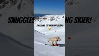 Snuggles doing a backflip while skiing😀 #trending #video #funny #cute